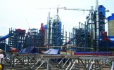 ibese-plant-pix1.jpg